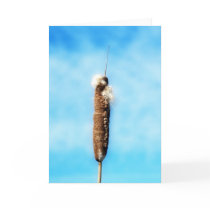 Bullrush Nature Photography Blue Sky Card