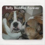 Bully Buddies Forever