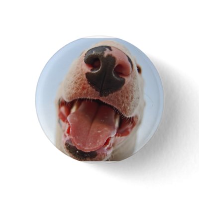 Bully love pinback buttons by ceragoo