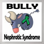 BULLy Nephrotic Syndrome posters