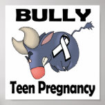 BULLy Teen Pregnancy Print