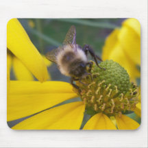 Bumble Bee Mouse Pad