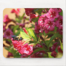 Bumble Bee Mouse Pads