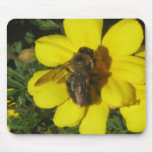 Bumble Bee mousepad