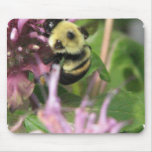 Bumble Bee on Bee Balm Mouse Pad