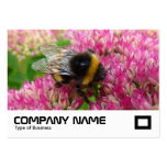 Bumble Bee on Sedum Business Cards