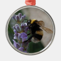 Bumble Bee On Valender Ornaments