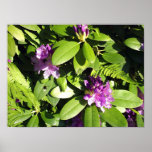 Bumble Bee with Flowers Print