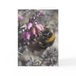Bumblebee belated birthday card