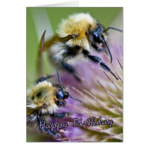 Bumblebee On Wild Flower - Birthday Card