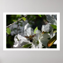 Bumbling bee print