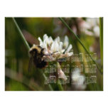Bumbling in the Clover; 2013 Calendar Photo