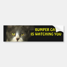Bumper Cat is watching you Bumper Stickers