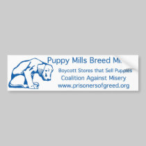 Bumper Sticker bumper stickers