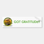 Bumper Sticker: