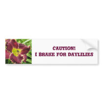 Bumper Sticker Brake for Daylilies