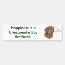 Bumper Sticker : chesapeake Bay Retriever