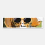 Bumper Sticker -"Cool Dog" w/sunglasses