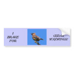 Bumper Sticker for Bird Lovers!