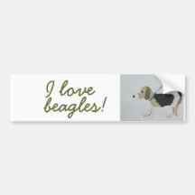 bumper sticker - I love beagles!