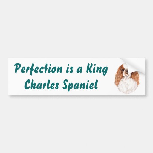 Bumper Sticker : King Charles Spaniel