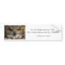 Bumper Sticker - Owls Eyes with quote