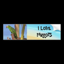 Bumper Sticker-Parrot Picture bumper stickers