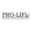 bumper sticker - pro life bumper stickers