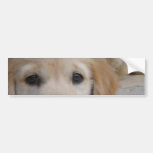 Bumper Sticker Template - Customized