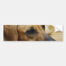 Bumper Sticker Template - Customized