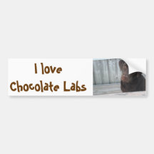 Bumper Stickers - I Love Chocolate Labs
