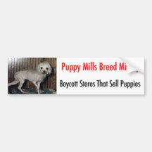Bumpersticker Autocollants Pour Voiture