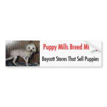 Bumpersticker Bumper Sticker