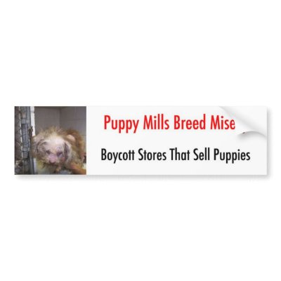Bumpersticker Bumper Sticker by Prisonersofgreed