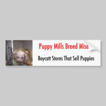 Bumpersticker bumper stickers