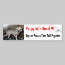 Bumpersticker bumper stickers