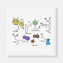 Bumpy Neurotransmitters Fridge Magnet