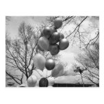 Bunch of balloons outdoors B&W low angle Postcard