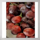 BUNCH OF GRAPES POSTERS