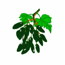 Bunch of peppers green cut outs