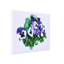 Bunch of Purple and White Pansies Canvas Prints