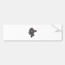 Bunch of red grapes bumper stickers