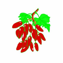 Bunch of red peppers cut out