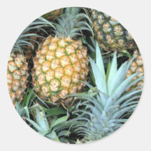 Bunch of Tropical Hawaiian Pineapples Round Stickers