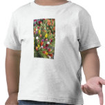 Bunches of colourful tulips t-shirts