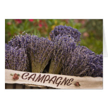 Bunches of lavender for sale, Vence, Provence, Card