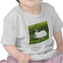 Bunnies Favourite Breakfast Spot Shirts