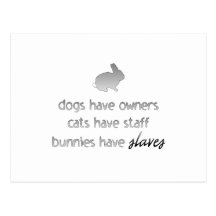 Bunnies Have Slaves Post Card
