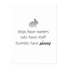 Bunnies Have Slaves Post Cards