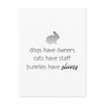 Bunnies Have Slaves Post Cards